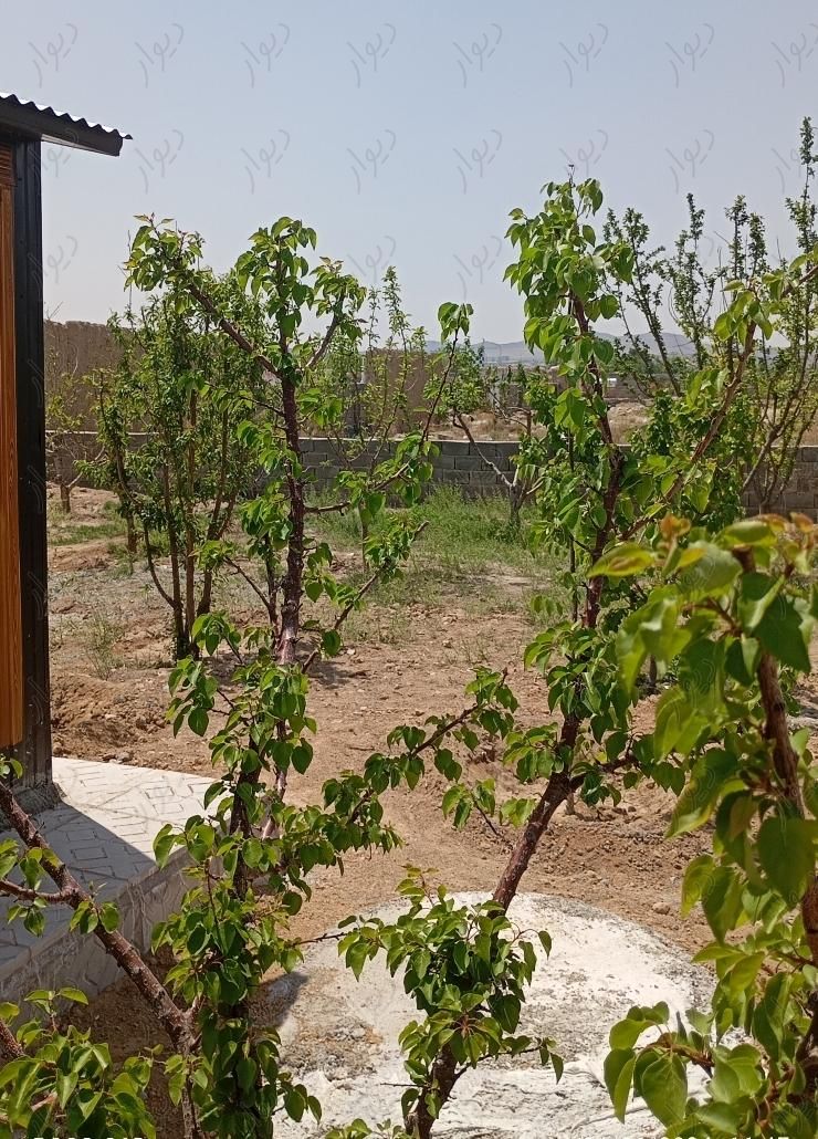 باغچه ۲۷۰ متری سند دار|فروش زمین و کلنگی|تهران, عبدل‌آباد|دیوار