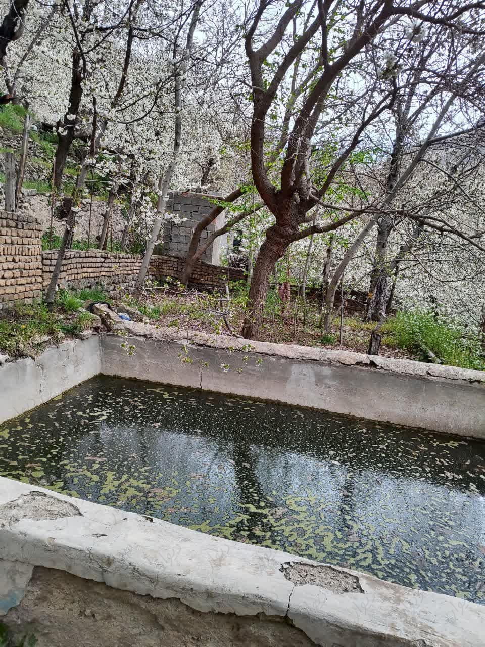 زمین با ویلا کنار رودخانه|فروش زمین و کلنگی|تهران, کن|دیوار