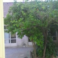 خانه حیاط دار|اجارهٔ خانه و ویلا|اصفهان, رکن‌الدوله|دیوار