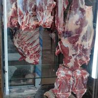 گوشت گوساله نر و بره نر با کیفیت|خدمات پذیرایی/مراسم|اردبیل, |دیوار