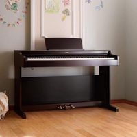 پیانو YAMAHA YDP-165R|پیانو/کیبورد/آکاردئون|قزوین, |دیوار