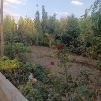 زمین باغ باغچه|فروش دفاتر صنعتی، کشاورزی و تجاری|باقرشهر, |دیوار