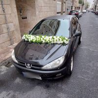 ۲۰۶ مدل ۸۱|خودرو سواری و وانت|تهران, باغ آذری|دیوار