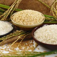 برنج ایرانی گیلان|خوردنی و آشامیدنی|تهران, آجودانیه|دیوار