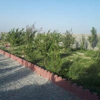 باغچه ۵۰۰ متری|فروش زمین و کلنگی|صفادشت, |دیوار