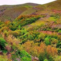 باغ کنار رودخانه سند تک برگ|فروش زمین و ملک کلنگی|طرقبه, |دیوار