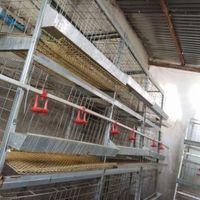 قفس مرغ تخمگذار|لوازم جانبی مربوط به حیوانات|بجنورد, |دیوار