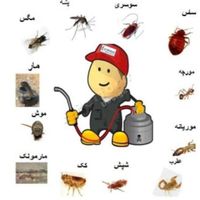 شرکت خدماتی وشستشویی مبل،کولر وسمپاشی|خدمات نظافت|بندرعباس, |دیوار