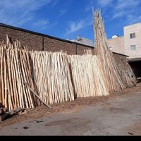تیرچوبی،چوب پرچم،چوب داربست،تیر چوبی، چوب ابعادی|عمده‌فروشی|قم, زاویه|دیوار