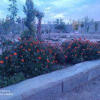 باغ 4 دیواری زردنجان ، سروشبادران ، ارزنده|فروش زمین و کلنگی|اصفهان, مشتاق|دیوار