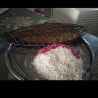ماهی کبابی جنوبی خانگی و انواع غذاهای اصیل جنوبی|خدمات پذیرایی/مراسم|گلبهار, |دیوار