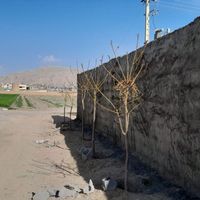 ۴دیواری ۵۳۰متری جاده انرژی اتمی جوزدان|فروش زمین و کلنگی|اصفهان, روشن‌دشت|دیوار