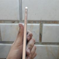 اپل iPhone 8 Plus با حافظهٔ ۶۴ گیگابایت|موبایل|ری, |دیوار