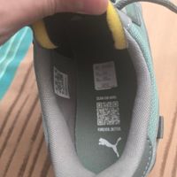 کفش اورجینال Puma سایز ۴۳ - طول سانت ۲۸|کیف، کفش، کمربند|تهران, هروی|دیوار