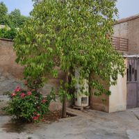 منزل  حیاط دار  5 اتاقه|اجارهٔ خانه و ویلا|شیراز, گود عربان|دیوار