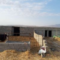 فروش دامداری۱۵۰۰ متری در کلاته میرزابیگ(تپه خانلق)|فروش دفتر صنعتی، کشاورزی، تجاری|شیروان, |دیوار