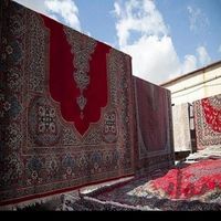 قالیشویی  موسوی سرویس دهی سراسر مشهد مقدس|خدمات نظافت|مشهد, آیت الله عبادی|دیوار