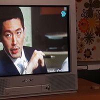 تلویزیون سونی ۲۱ اینچ اصل ژاپن|تلویزیون و پروژکتور|مشهد, مهرآباد|دیوار