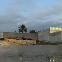 زمین مسکونی گورک سادات ، دو بر ، سر خیابان|فروش زمین و کلنگی|بوشهر, |دیوار