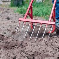 باغبانی،هرس،سم پاشی ،چوب بری|خدمات باغبانی و درختکاری|اصفهان, خانه اصفهان|دیوار