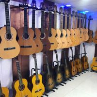 گیتار پارسی M5|گیتار، بیس و امپلیفایر|کرمانشاه, |دیوار
