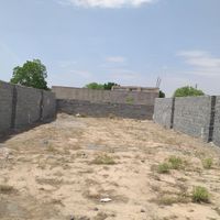 زمین باغی داری برق و آب سه قواره ۳۰۰ متری کوچه باغ|فروش زمین و کلنگی|جوادآباد, |دیوار