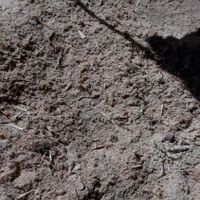 خاک اره خشک|لوازم جانبی مربوط به حیوانات|اصفهان, راران|دیوار