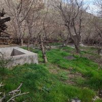 ۸۰۰ متر باغچه فروشی در فرحزاد|فروش زمین و کلنگی|تهران, فرحزاد|دیوار