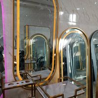دوعدد آینه و یک ترولی فورتیک آرایشگاه  سالن زیبایی|آینه|شهرکرد, |دیوار