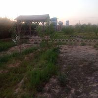 باغ ویلا هزارمتری اتوبان تهران ساوه|فروش خانه و ویلا|رباط‌کریم, |دیوار