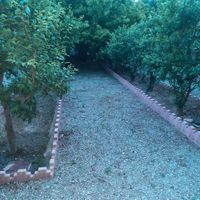 باغچه ۱۰۰۰مترچهاردیواری|فروش زمین و کلنگی|تهران, شهرک طالقانی|دیوار