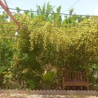 باغ با تجهیزات کامل|اجارهٔ خانه و ویلا|اصفهان, درچه|دیوار