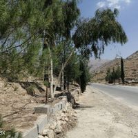 زمین . باغ . ویلاشهر کیمیا. دشتکوه|فروش زمین و کلنگی|شیراز, ویلاشهر کیمیا|دیوار