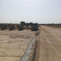 زمین مسکونی، سند تکبرگ، گورک کلبندی، چمن مصنوعی|فروش زمین و ملک کلنگی|بوشهر, |دیوار