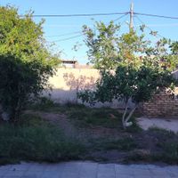 خانه ویلایی مستقل در به حیاط ۱۳۰متر عباس آبادحاجی|اجارهٔ خانه و ویلا|رفسنجان, |دیوار