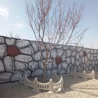 باغ وباغچه*چهار دیوار مجزا 211 زمین  آب وبرق وگاز|فروش زمین و کلنگی|تهران, امیریه|دیوار