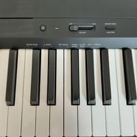 پیانو دیجیتال Yamaha p145|پیانو، کیبورد، آکاردئون|تهران, آسمان|دیوار