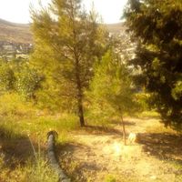 زمین باغ ویلاشهرکیمیا|فروش زمین و کلنگی|شیراز, ویلاشهر کیمیا|دیوار