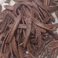 خرنوب برای درمان ناتوانی جنسی (۷۰۰g)|خوردنی و آشامیدنی|تهران, اتابک|دیوار