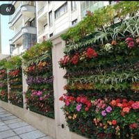 خدمات باغبانی تعویض خاک گلدان سراسرتهران درب منزل|خدمات باغبانی و درختکاری|تهران, درکه|دیوار
