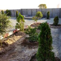 باغچه زیبا ۲۵۰ متری لوکیشن دنج و باصفا ،سند دار|فروش زمین و کلنگی|تهران, امامزاده حسن(ع)|دیوار