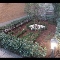 خدمات باغبانی زعفرانیه‌چتگر دهکده شهرزیبا شهران|خدمات باغبانی و درختکاری|تهران, باغ فیض|دیوار