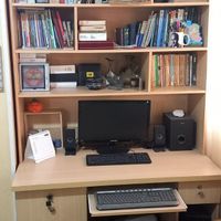 کتابخانه با میز تحریر|کتابخانه، شلف، قفسه‌های دیواری|تهران, استاد معین|دیوار