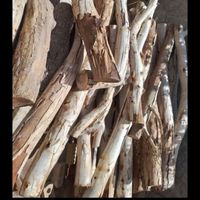 خرید چوب انواع چوب سقفی وگردو قطع هرس|عمده‌فروشی|مشهد, بلوار توس|دیوار