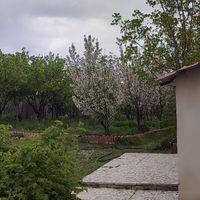 باغچه ی۷۶۵متری در روستای سرسبز اجین دوجین، کردان|فروش زمین و کلنگی|کرج, حیدرآباد|دیوار