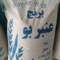 نیمدانه عنبربو معطر نیم دانه عنبر بو عطری|خوردنی و آشامیدنی|تهران, سیدخندان|دیوار