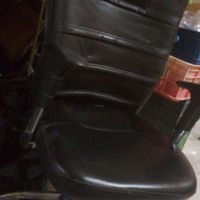 صندلی مدیریت|صندلی و نیمکت|پرند, |دیوار