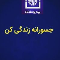 نماینده رسمی بیمه عمر وزندگی و طرح مستمری پاسارگاد|خدمات مالی، حسابداری، بیمه|تهران, امام حسین(ع)|دیوار