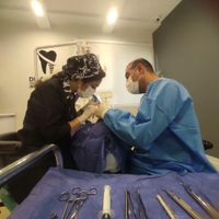 دندانپزشک ایمپلنت تخصصی یکروزه سراسر تهران|خدمات آرایشگری و زیبایی|تهران, میرداماد|دیوار