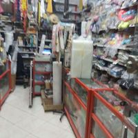 فروش مغازه تجاری با ملکیت|فروش مغازه و غرفه|تهران, قیام‌دشت|دیوار